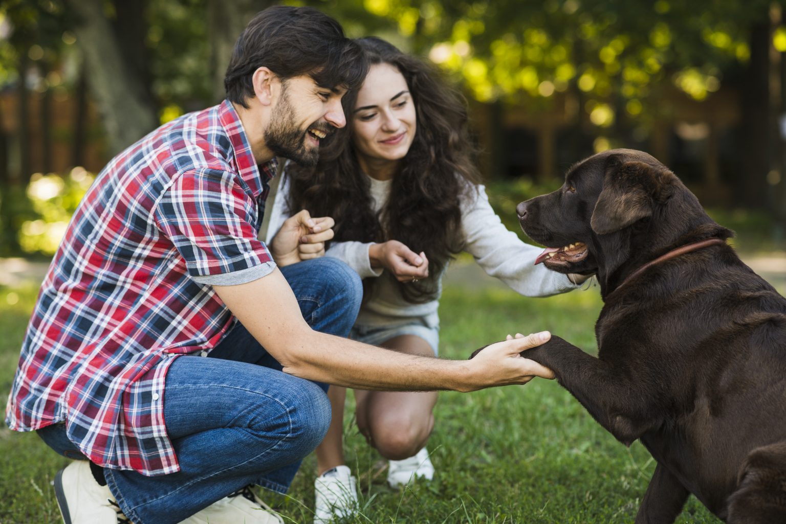 The importance of socialising your dog: A guide to happy canine ...